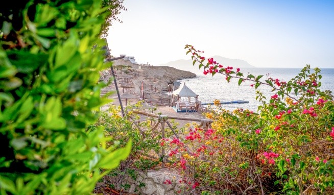 Siva Sharm Resort & Spa opinie