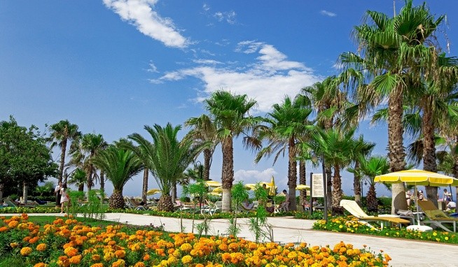 Champion Holiday Village recenze