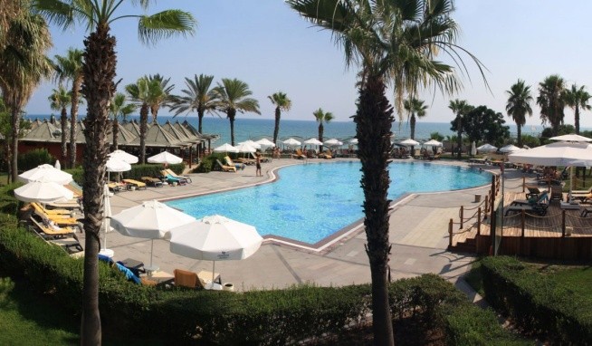 Papillon Belvil recenzie