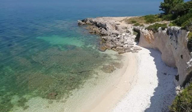 Jerry's értékelés