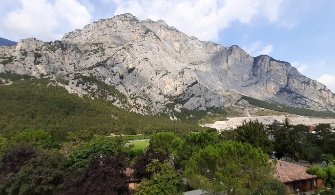 Daino opinie
