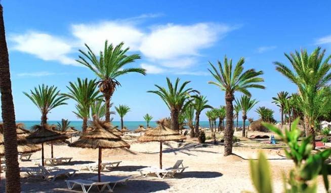 Royal Karthago recenze