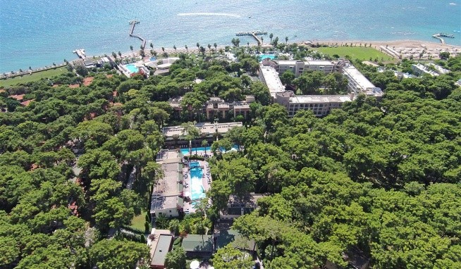 Turquoise értékelés