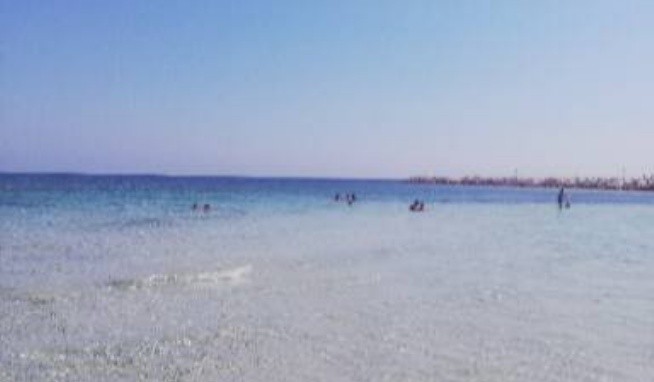Le Canne opinie