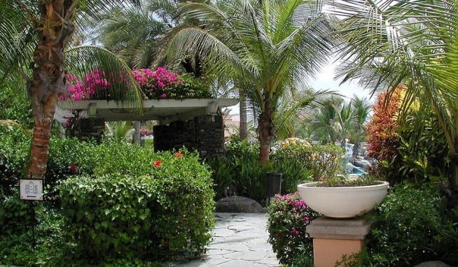 Palm Oasis Maspalomas opinie