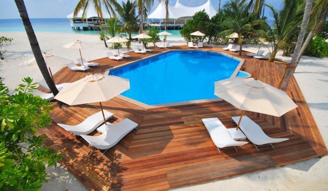 Safari Island recenzie