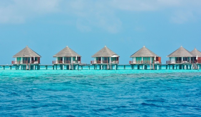 Safari Island recenze