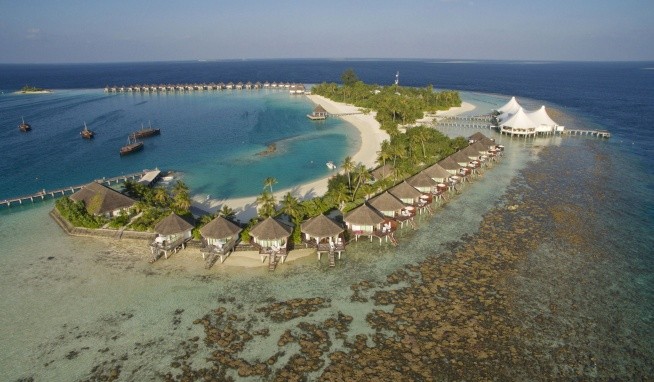 Safari Island értékelés