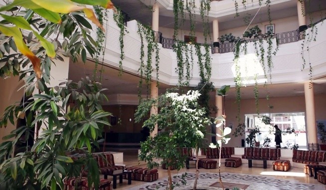 Cyclamens Mechmoum recenzie