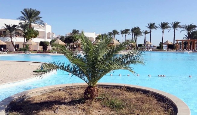 Sunrise Alma Bay (ex. Grand Seas Resort) opinie