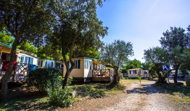 Camping Arena Indije opinie