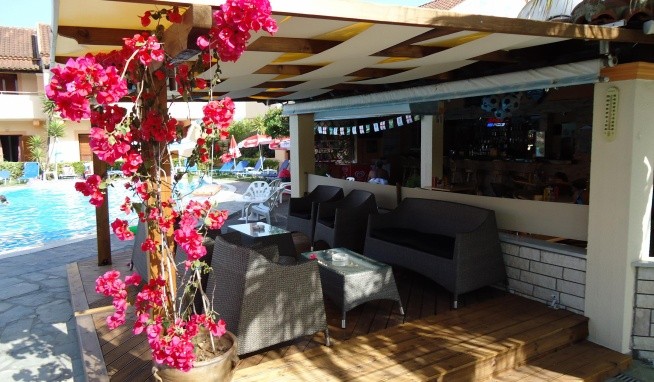 Studia Eleni recenzie