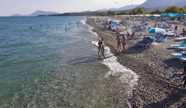 Daima Biz értékelés