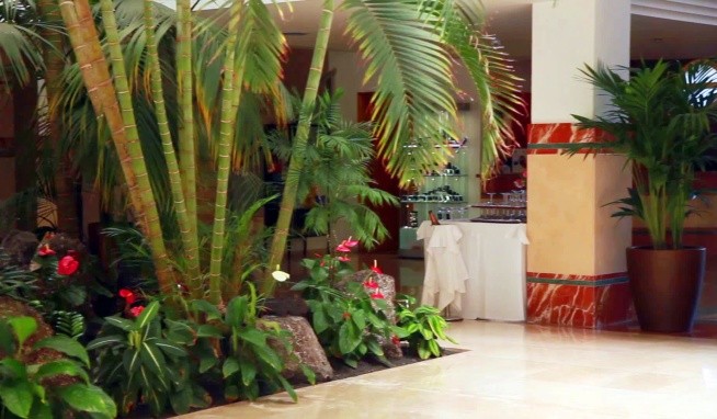 IFA Altamarena by Lopesan Hotels opinie