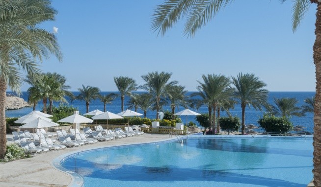 Continental Garden Reef recenze