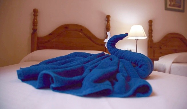 Hyde Park Lane opinie