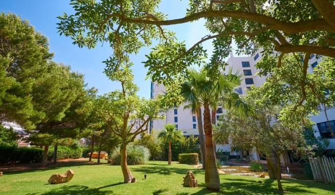 Marfil Playa recenze