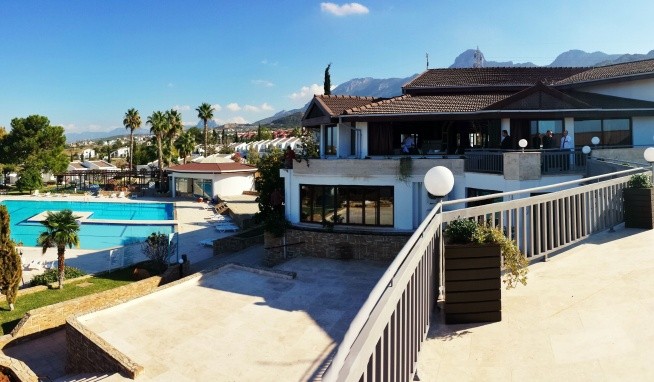 The Olive Tree recenzie