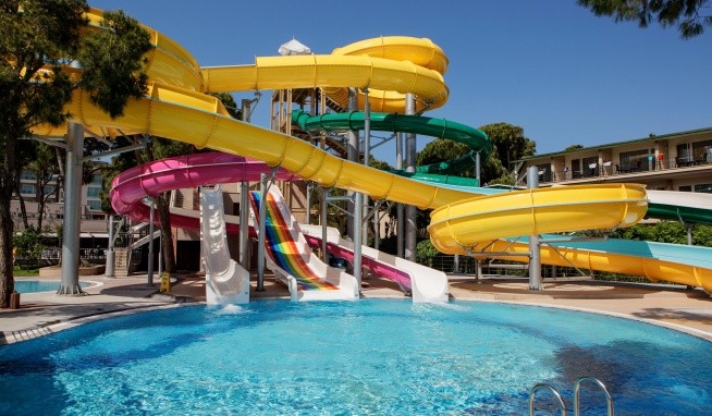 Papillon Ayscha opinie