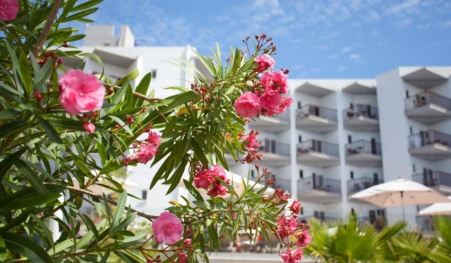 Fergus Bermudas értékelés