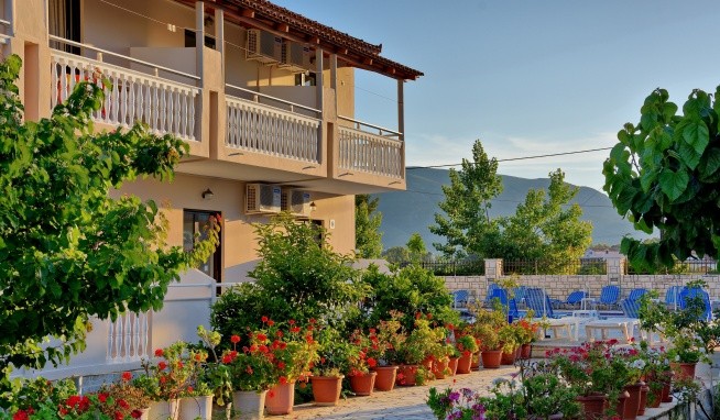 Studia Tassia recenze