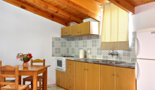 Studia Tassia recenzie