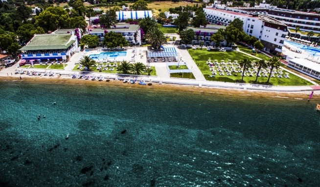 Club Blue & White opinie