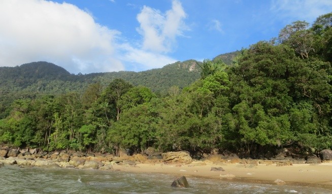 Permai Rainforest Resort recenzie