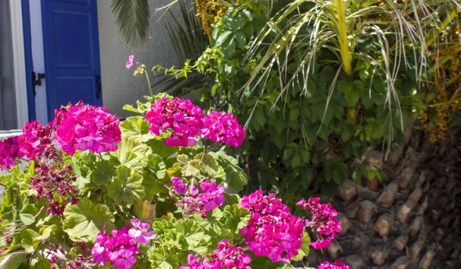 Naxos Holidays értékelés