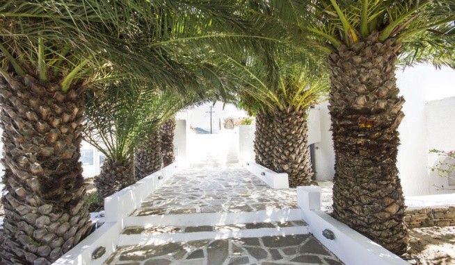 Naxos Holidays opinie