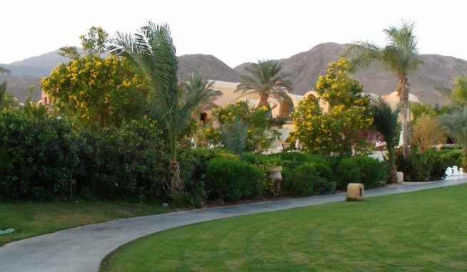 Miramar Resort Taba Heights recenze