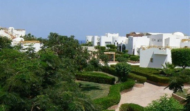 Grand Halomy Resort (ex Halomy Naama Bay) recenzie