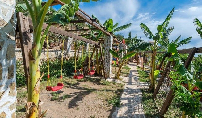 Petrino Horio opinie