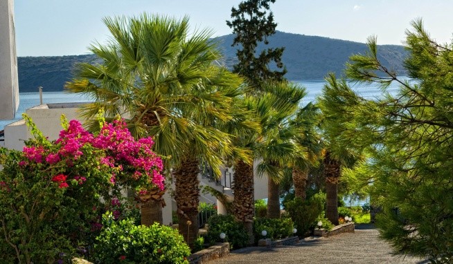 Selena Village opinie