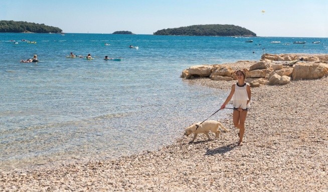 Camping Bijela Uvala recenze