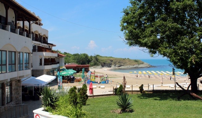 Mořský koník opinie