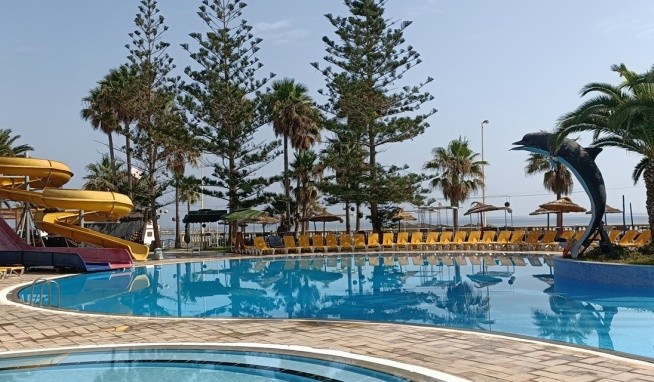 Delphin El Habib recenze