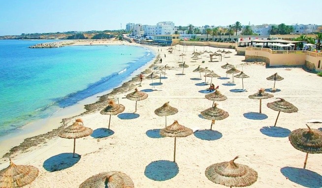 Les Palmiers recenze