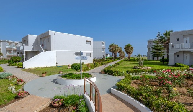 Delfina Beach opinie