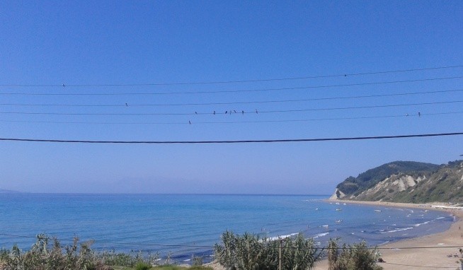 Paralia II értékelés