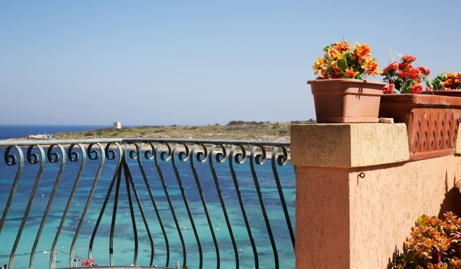 White Dolphin Holiday Complex recenze