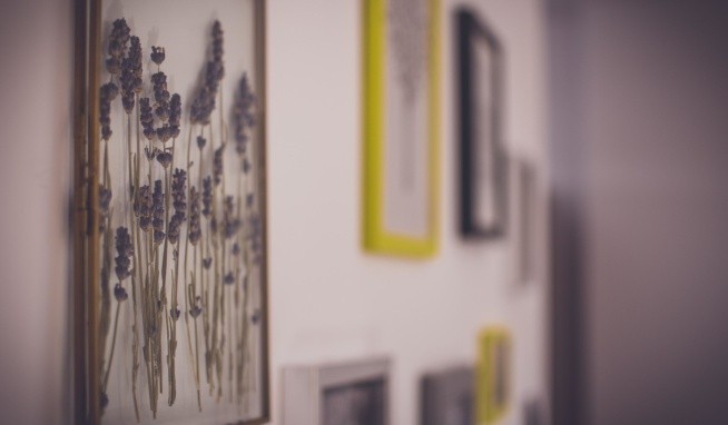 Lavender értékelés