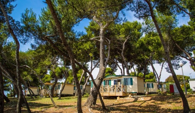 Camping Arena Stoja recenze