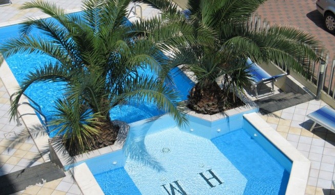 Mutacita értékelés