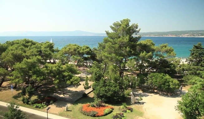 International értékelés