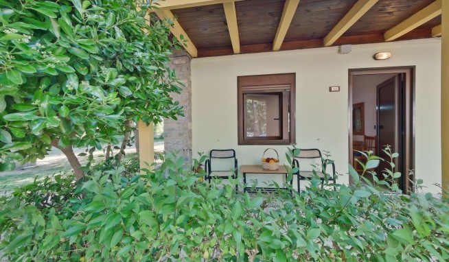 Olympios Zeus recenze