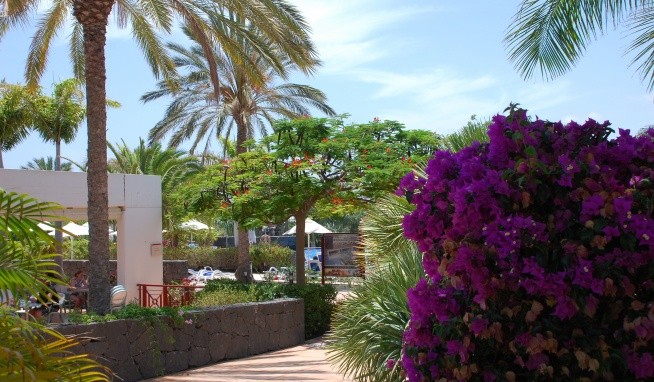 Costa Calero értékelés