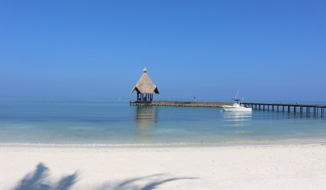 Canareef Resort Maldives (Herathera) recenzie