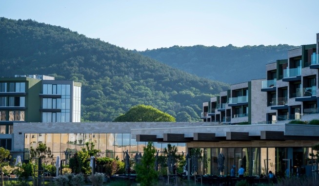 HVD Reina Del Mar recenzie