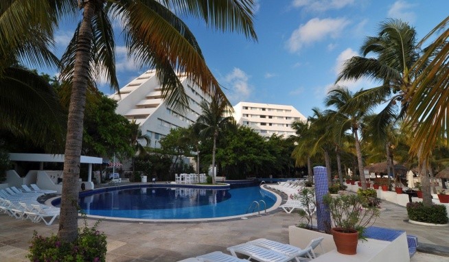 Oasis Palm értékelés